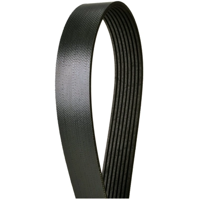 CONTINENTAL - 8PK2035 - ContiTech Accessory Drive Belt pa1