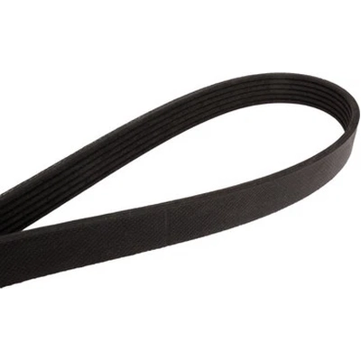 CONTINENTAL - 995K6MK - Serpentine Belt pa1