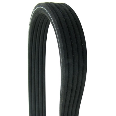 CONTINENTAL - D4050610 - Courroie serpentine - Automotive V- Belt pa2