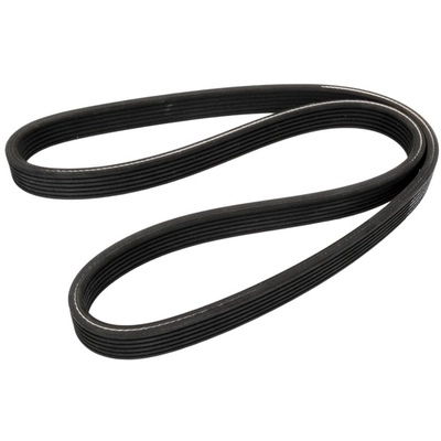 CONTINENTAL - D4060472 - Serpentine Belt - Automotive V-Belt pa2