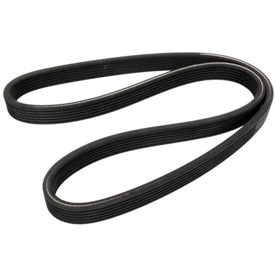 CONTINENTAL - D4060504 - Serpentine Belt - Automotive V-Belt pa1