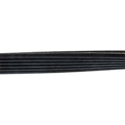 CONTINENTAL - D4060650 - Serpentine Belt pa2