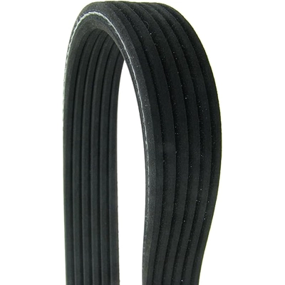 CONTINENTAL - D4060672 - Serpentine Belt - Automotive V-Belt pa2