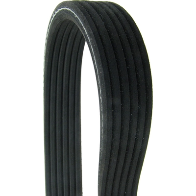CONTINENTAL - D4060700 - Serpentine Belt - Automotive V - Belt pa2