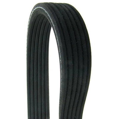 CONTINENTAL - D4060791 - Serpentine Belt - Automotive V-Belt pa5