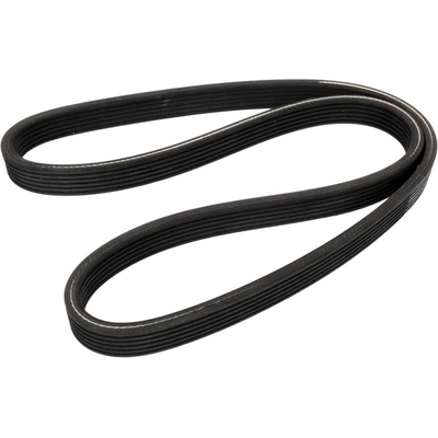 CONTINENTAL - D4060956 - Serpentine Belt - Automotive V-Belt pa3