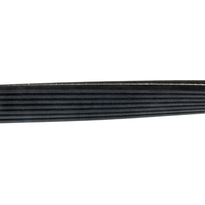 CONTINENTAL - D4070535 - Serpentine Belt - Automotive V-Belt pa2