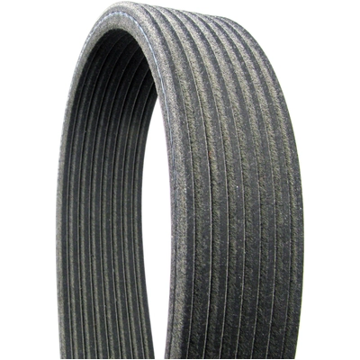 CONTINENTAL - D4080555 - Supercharger Multi-V Reinforced Belt Serpentine Belt pa4