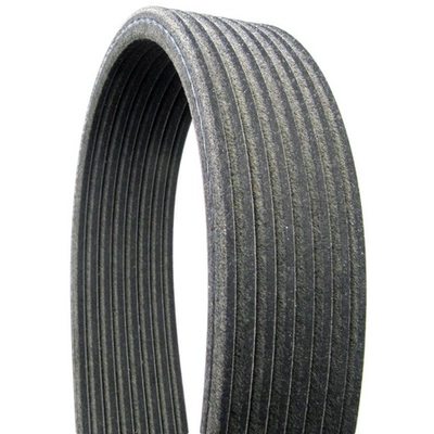 CONTINENTAL - D4081403 - Serpentine Belt - Automotive V-Belt pa2