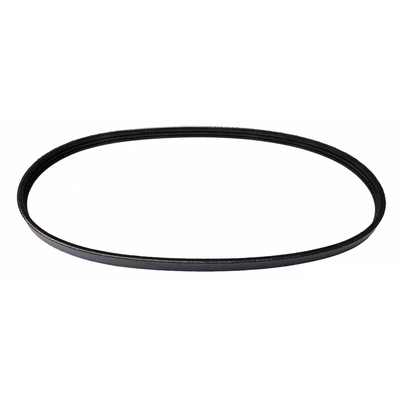 CONTINENTAL - PK030380 - Multi V-Belt pa4