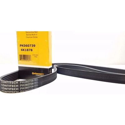 CONTINENTAL - PK060739 - Serpentine Belt pa1