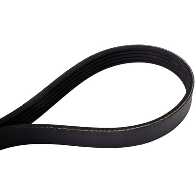 CRP/CONTITECH - 5K875 - Serpentine Belt pa3