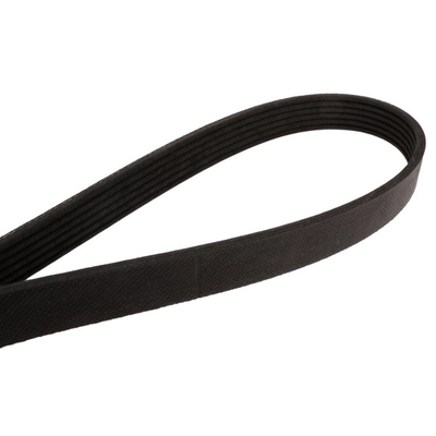 CRP/CONTITECH - 6K2225 - Serpentine Belt pa4