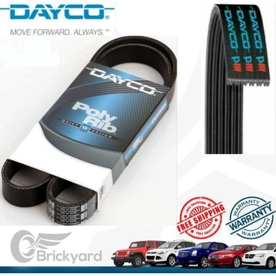 Serpentine Belt by DAYCO - 5040388 pa11