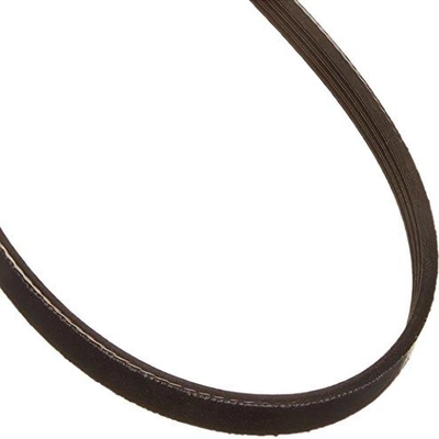 Serpentine Belt by DAYCO - 5040398 pa4