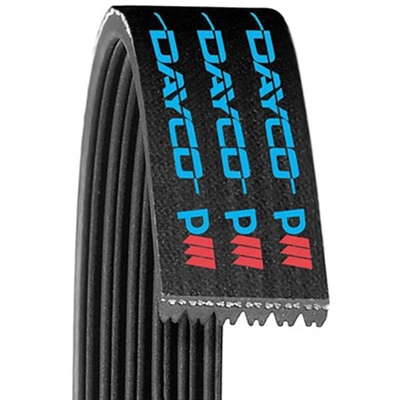 DAYCO - 5040410 - Serpentine Belt pa6