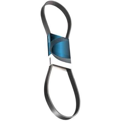 Serpentine Belt by DAYCO - 5040539 pa1