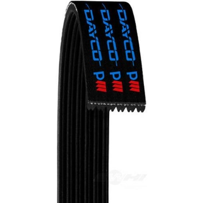 Courroie serpentine de DAYCO - 5040539 pa9