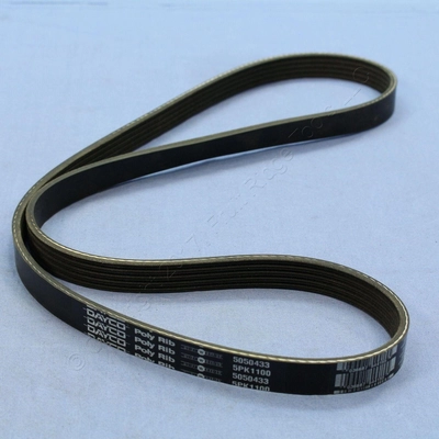 Serpentine Belt by DAYCO - 5050433 pa11