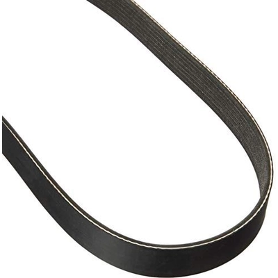 Serpentine Belt by DAYCO - 5070505 pa8