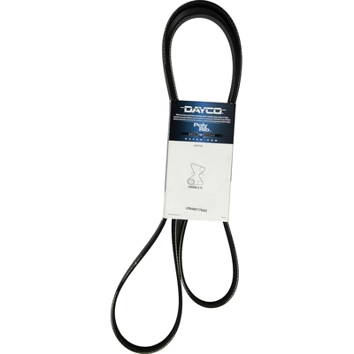 Serpentine Belt by DAYCO - 5070735 pa11