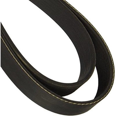 Serpentine Belt by DAYCO - 5070756 pa4