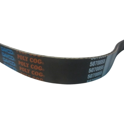 Serpentine Belt by DAYCO - 5070855 pa11