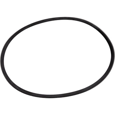 DAYCO - 5080418 - Belt pa3