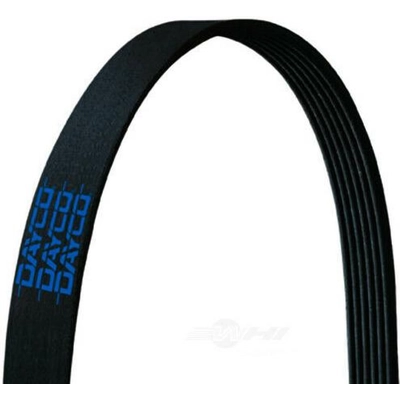 Serpentine Belt by DAYCO - 5080495 pa6