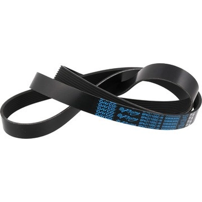 Serpentine Belt by DAYCO - 5080830SC pa2