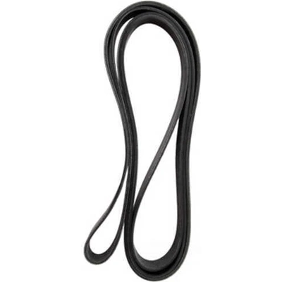 Serpentine Belt by DAYCO - 5081265 pa4