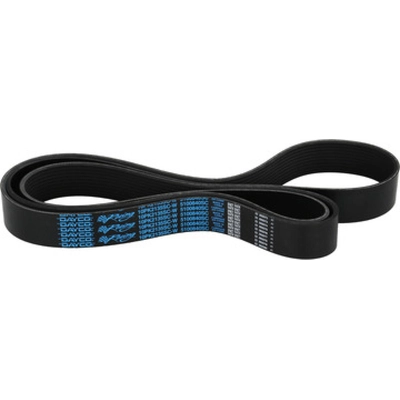 DAYCO - 5100840SC - Serpentine Belt pa1