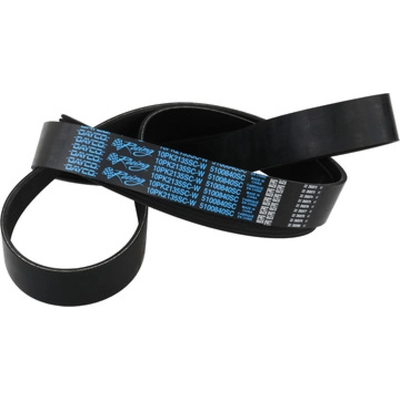 DAYCO - 5100840SC - Serpentine Belt pa2
