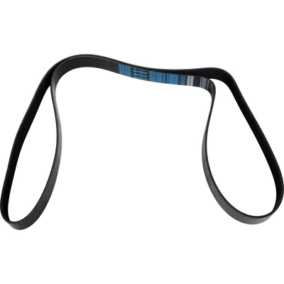 DAYCO - 5100840SC - Serpentine Belt pa3