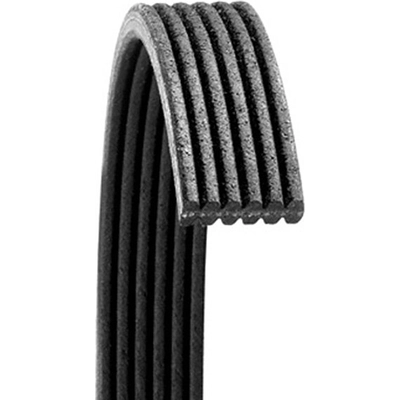 DAYCO - 6060470 -Serpentine Belt pa3