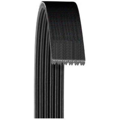 Serpentine Belt by DAYCO - 6060520 pa2