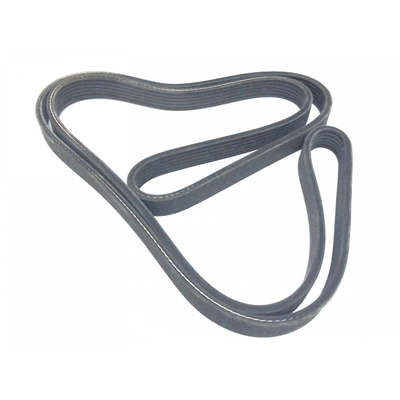 DAYCO - 6060724 - Serpentine Belt pa3