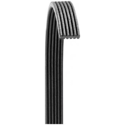Serpentine Belt by DAYCO - 6060809 pa4