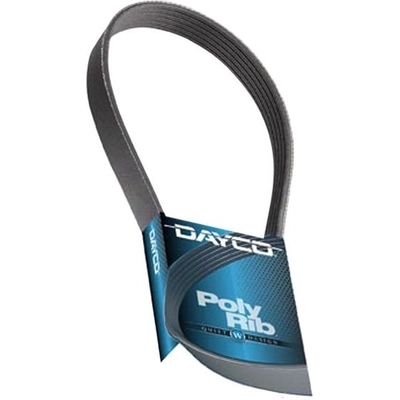 Serpentine Belt by DAYCO - A060725 pa10