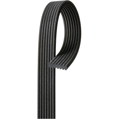 GATES - DK070551 - Serpentine Belt pa5