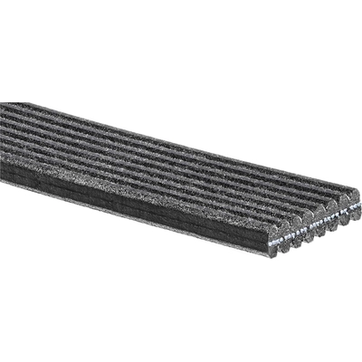 Serpentine Belt by GATES - DK080534 pa6
