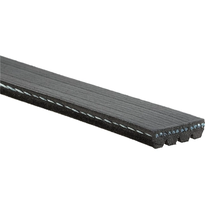 Serpentine Belt by GATES - K040329 pa9