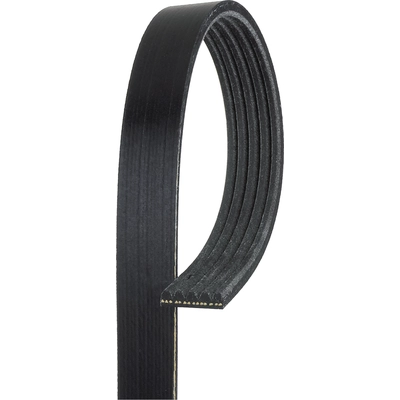 GATES - K050344RPM - Serpentine Belt pa5