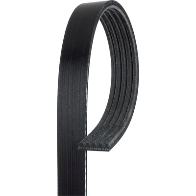 Serpentine Belt by GATES - K050419 pa2