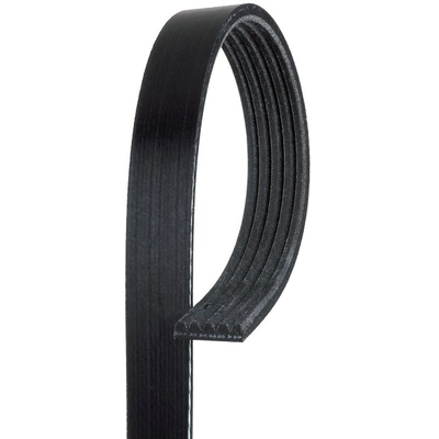 GATES - K050529 - Serpentine Belt pa1