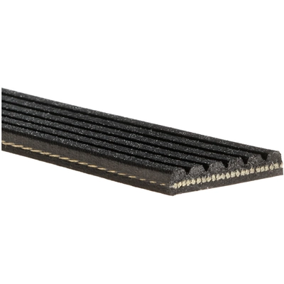 GATES - K060448RPM - Serpentine Belt pa7