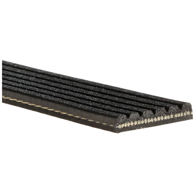 GATES - K060798RPM - Serpentine Belt pa4