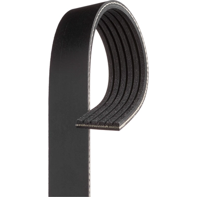 GATES - K060806RPM - Serpentine Belt pa5