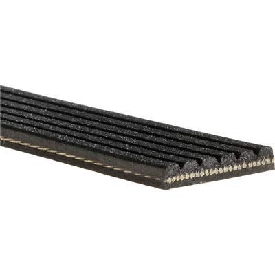 GATES - K060806RPM - Serpentine Belt pa6