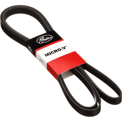 GATES - K060812 - Serpentine Belt pa6